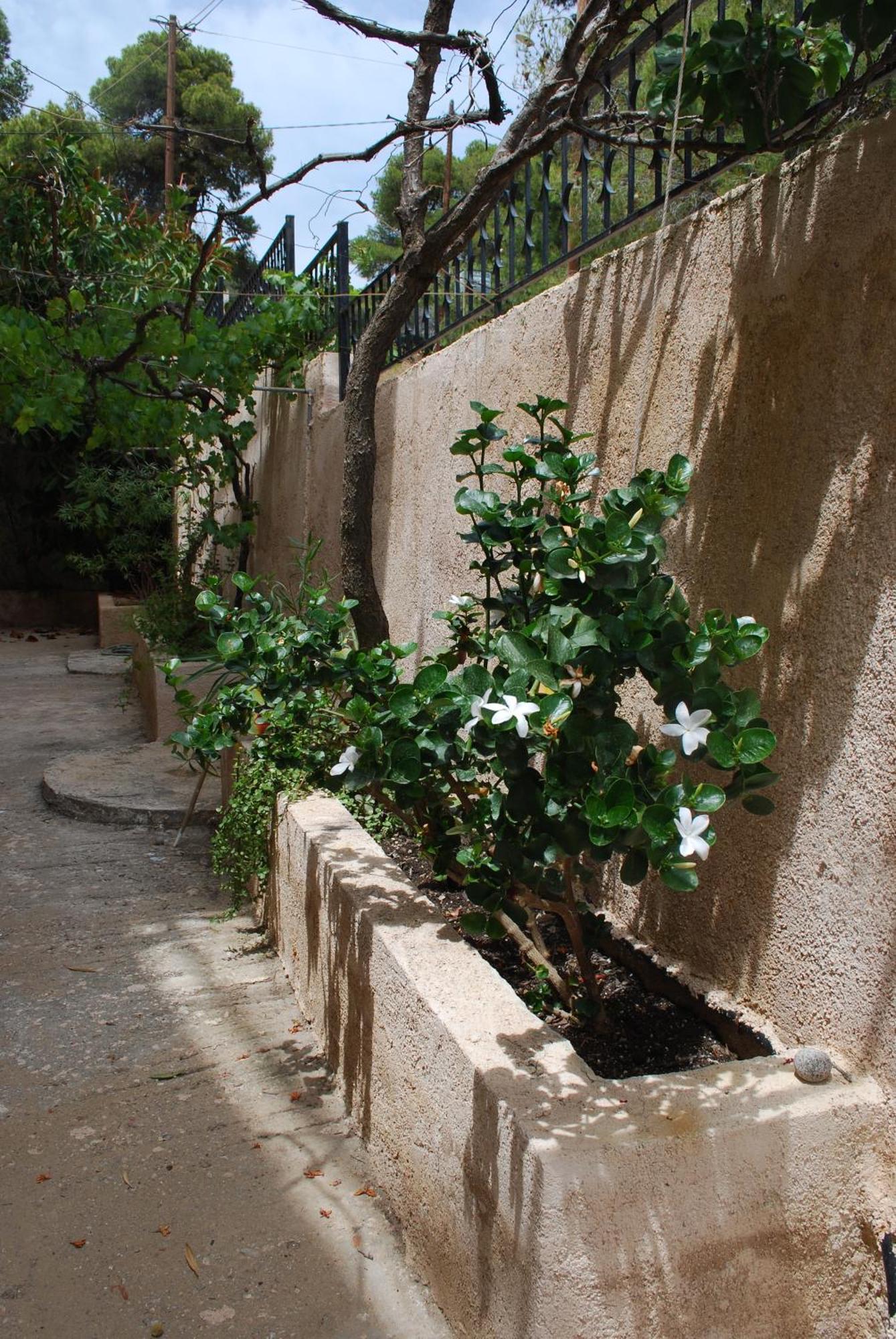 Vana Studios Agia Marina  Esterno foto