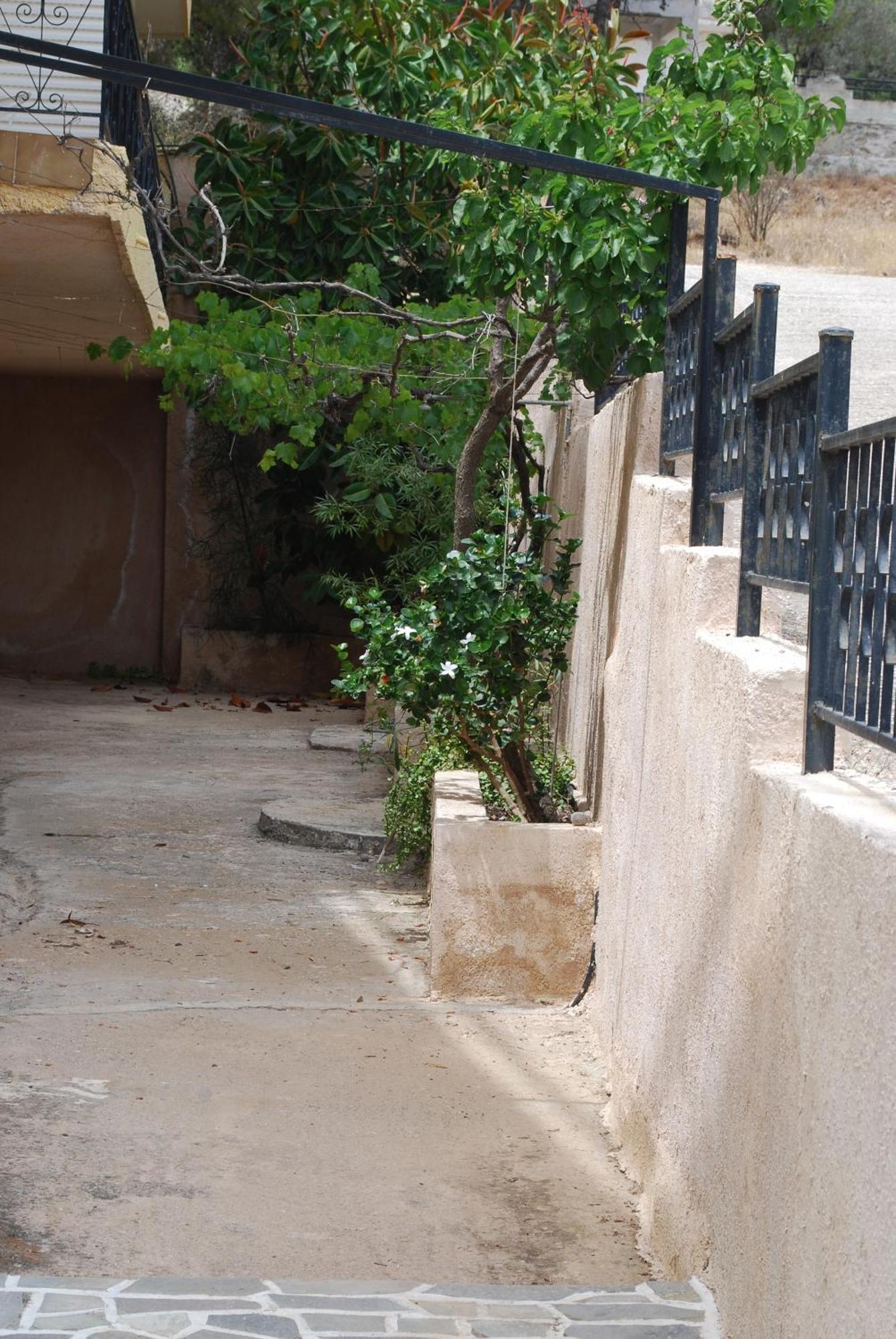 Vana Studios Agia Marina  Esterno foto